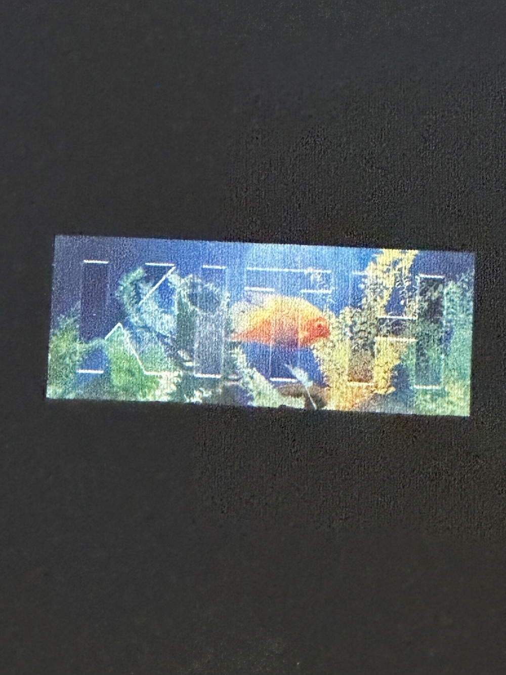 Kith Orange Fish Aquarium Box Logo Tee
